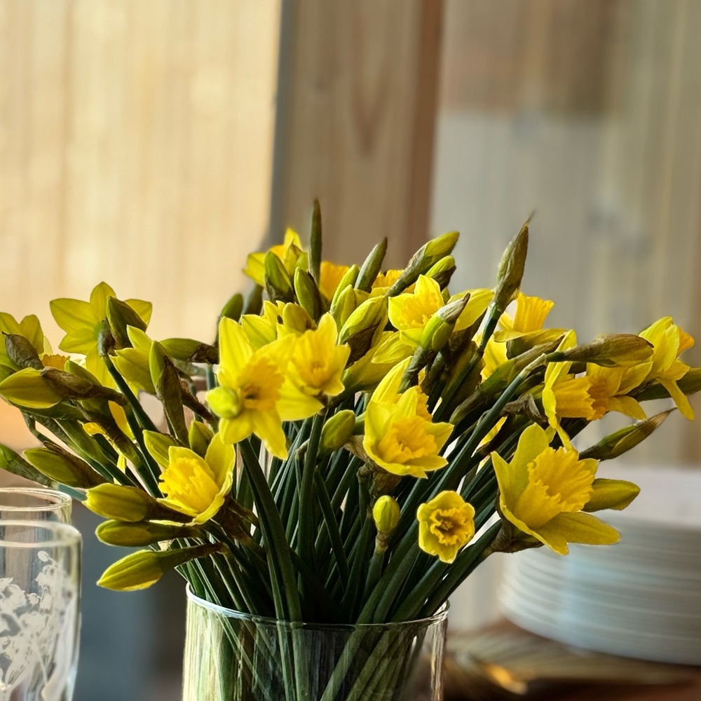 Meet your Posher, Sanam